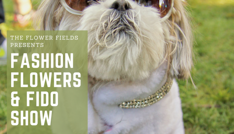 Flower Fields Fashion Flowers