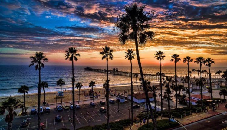 Oceanside Pier w Palm Trees Alan Crosthwaite