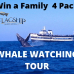 Flagship Whale Watching