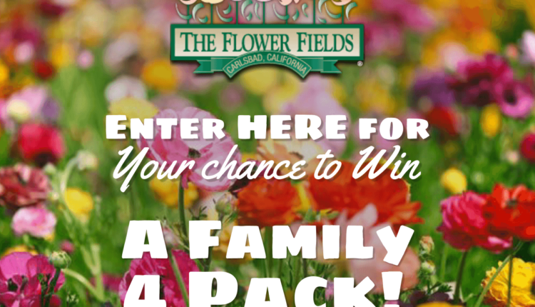 The Flower Fields at Carlsbad Ranch