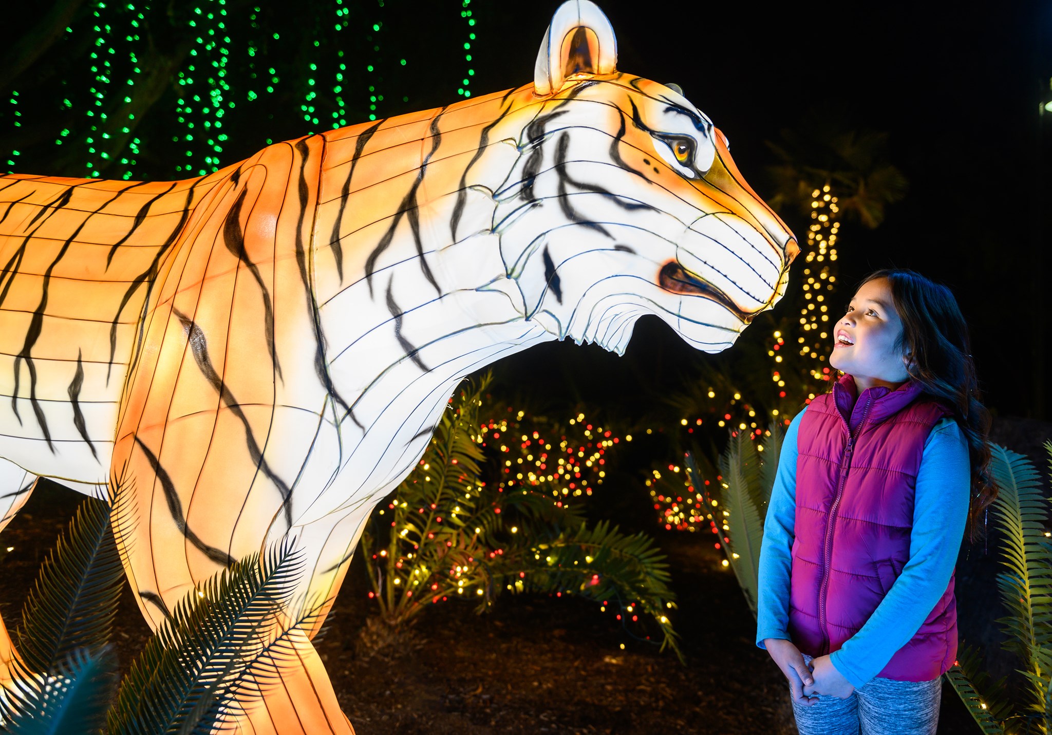 L.A. Zoo Lights 2019/2020 - 101 Things To Do In Los Angeles