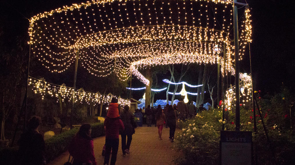 LA Zoo Lights - 101 Things To Do In Los Angeles